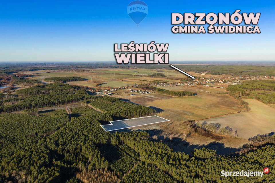 Na sprzedaż działka inwestycyjna 24900 m Grunty i działki Drzonów sprzedam