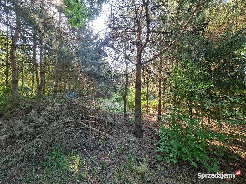 Działka Siedlątków Jeziorsko 800m2 Woda Prąd Aleksandrów Łódzki