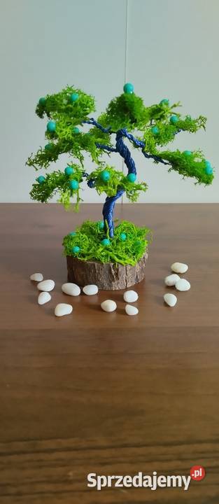 Drzewko szczęścia -bonsai