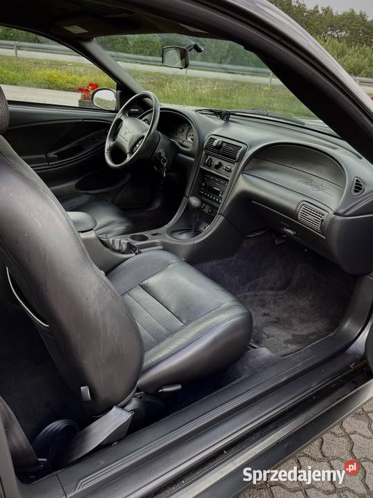 Ford Mustang GT 46 v8 Super stan radio Skępe