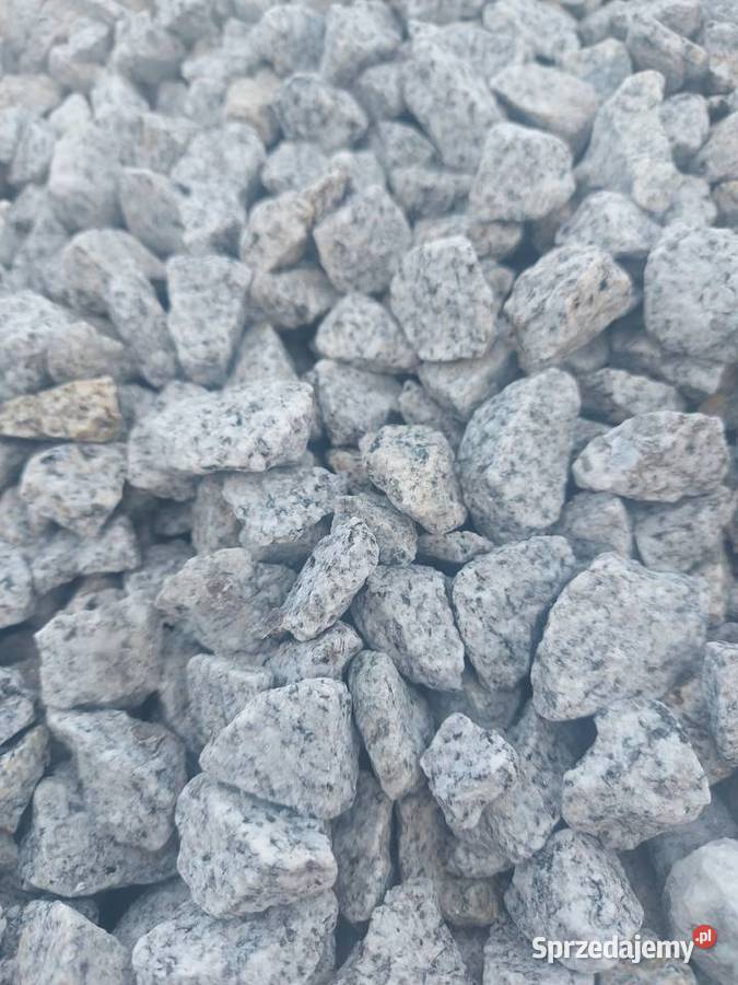 Grys granitowy 816 1622 Granit dalmatyńczyk