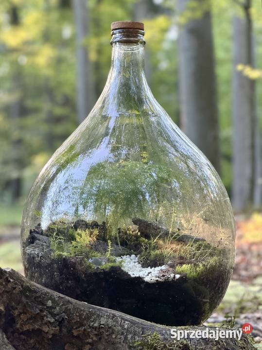 LasOgród w szklanym gąsiorze na wino Pozostałe
