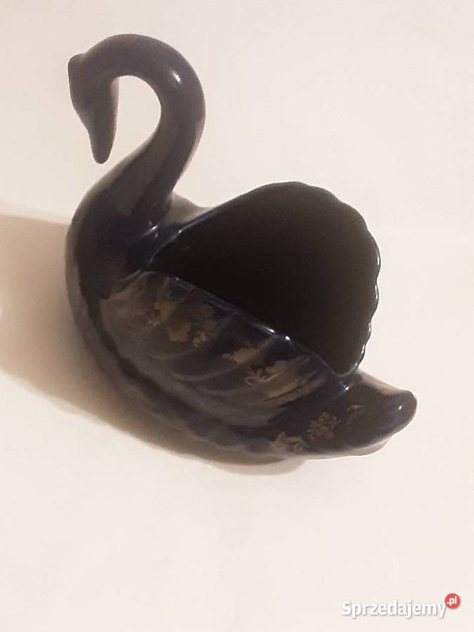 Łabądź dekoracyjny Szczecinek