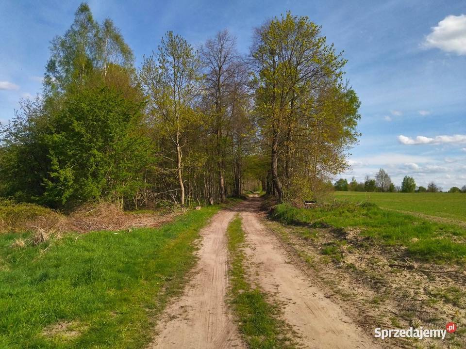 Działka budowlana na mazurache Wielimowo