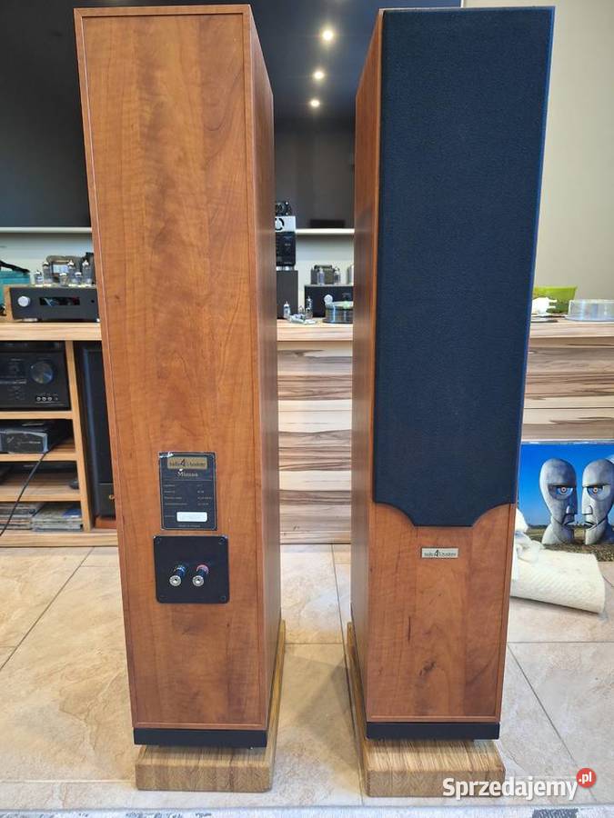 Kolumny głośnikowe Audio Academy Mimas Górki Małe