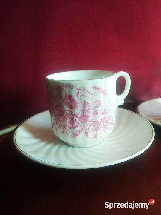 Filiżanka Carl Tielsch Altwasser Gdańsk