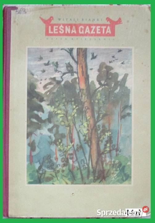 Leśne obrazki ISokołow Mikitow przyroda edukacja Łódź