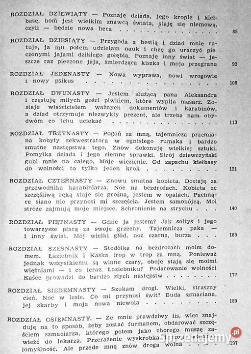 Wielkie przygody małego ancykrysta Józef Morton Chełm