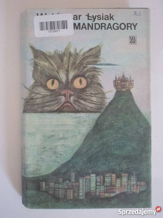 FLET Z MANTRAGORY WALDEMAR ŁYSIAK kujawsko-pomorskie Inowrocław