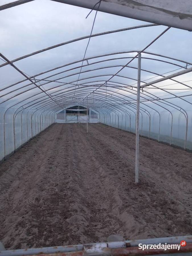 Tunel foliowy 7x30 Skierniewice
