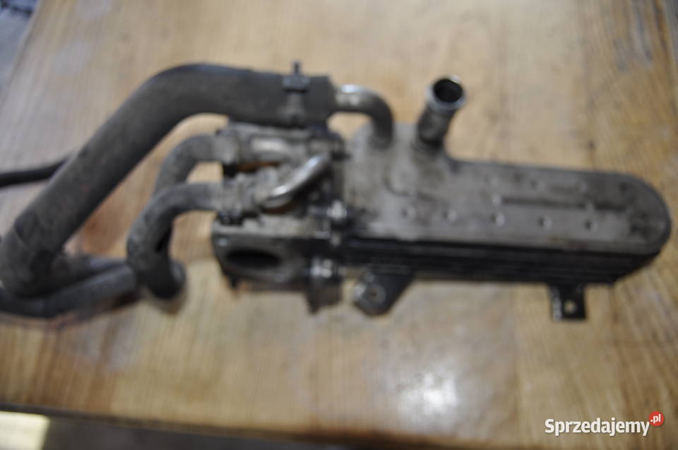 Chłodnica Spalin Egr VW Seat Audi 038131513AD Sierakowice