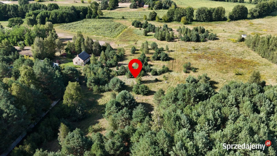 Działka w lesie 3006 m pozwolenie na budowę Piłka