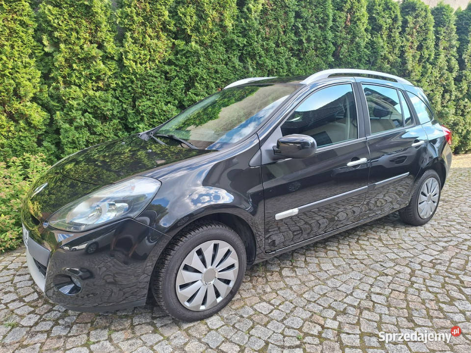 Renault Clio Dynamic III 20052012 przyciemniane szyby