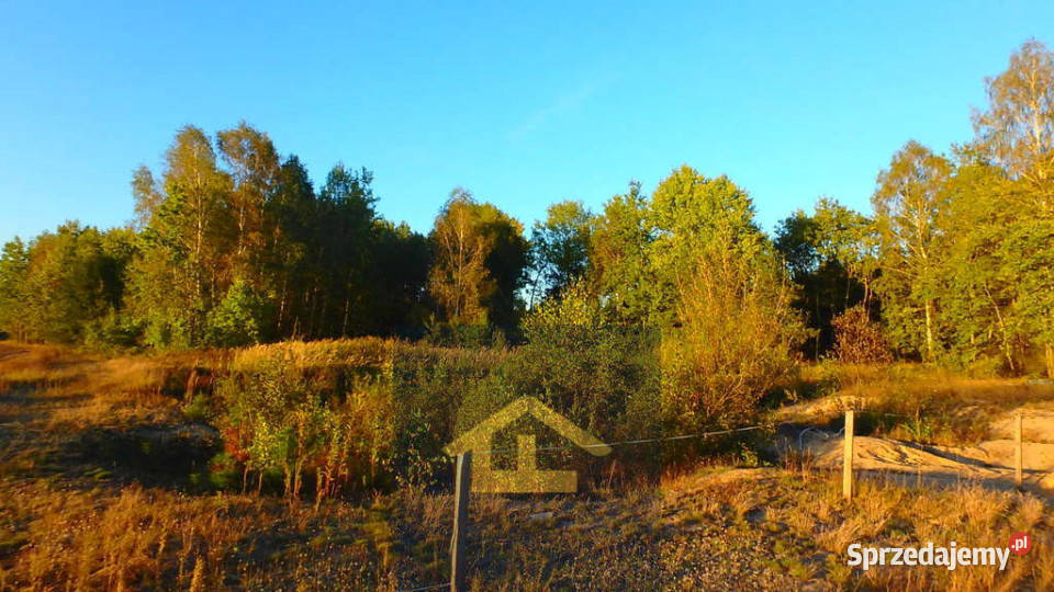 Działka budowlana w Niechnabrzu Niechnabrz sprzedam