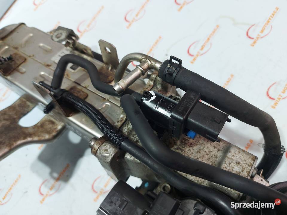 CAPTIVA 22 CDTI VCDI Z22D1 12r 4x4 184 Recyrkulacja spalin EGR Motoryzacja świętokrzyskie Kielce