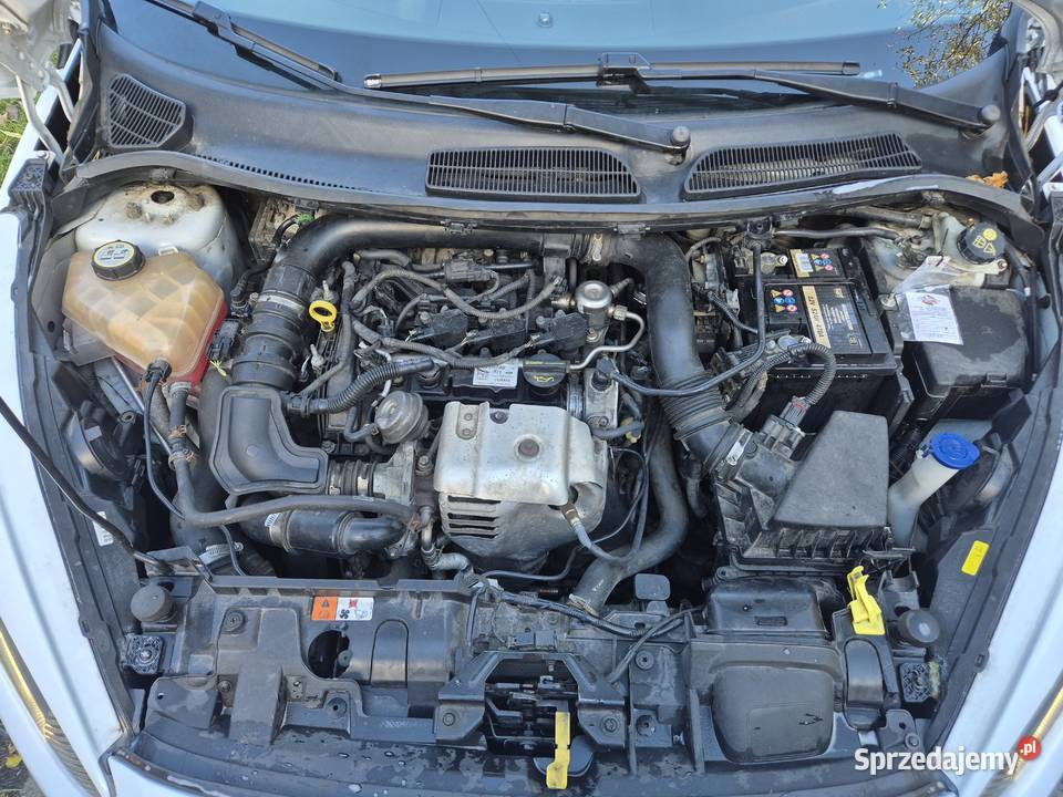 Ford Fiesta STLine 10 Turbo 125 Gwint Nowy 998cm3
