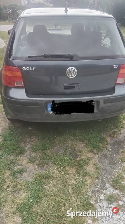 VW Golf 4 16 SR opolskie Namysłów