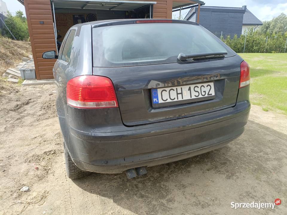 Audio a3 8p 2003 19 TDI