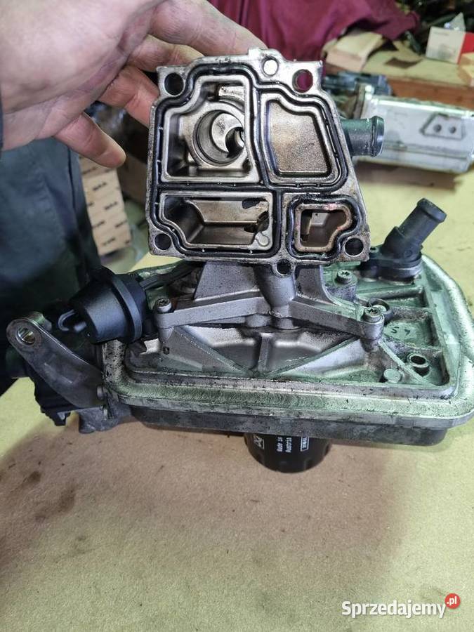 Chłodnicza oleju z egr małopolskie Kraków sprzedam