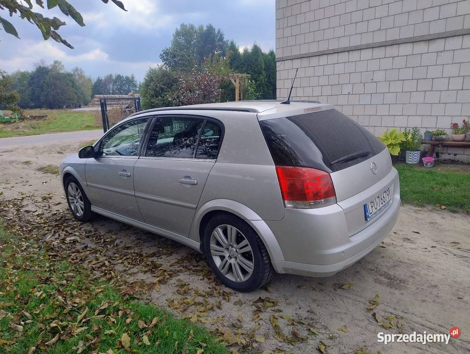 Opel Signum 19 cdti 1910cm3 Signum Puławy