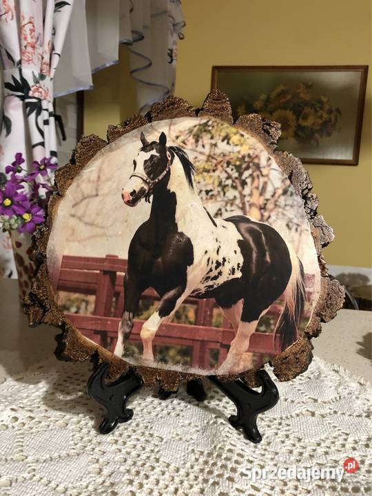 Obrazki motywy konie Strzyżów