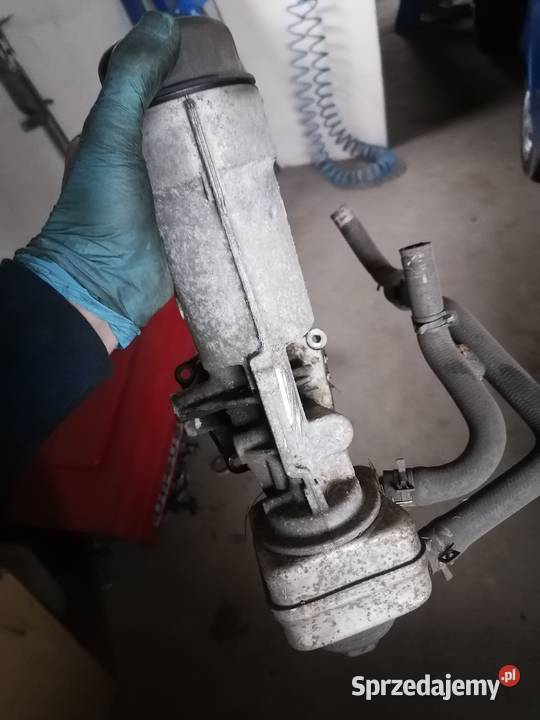 038115380C Rok produkcji 2006 Motoryzacja Gołymin-Ośrodek sprzedam