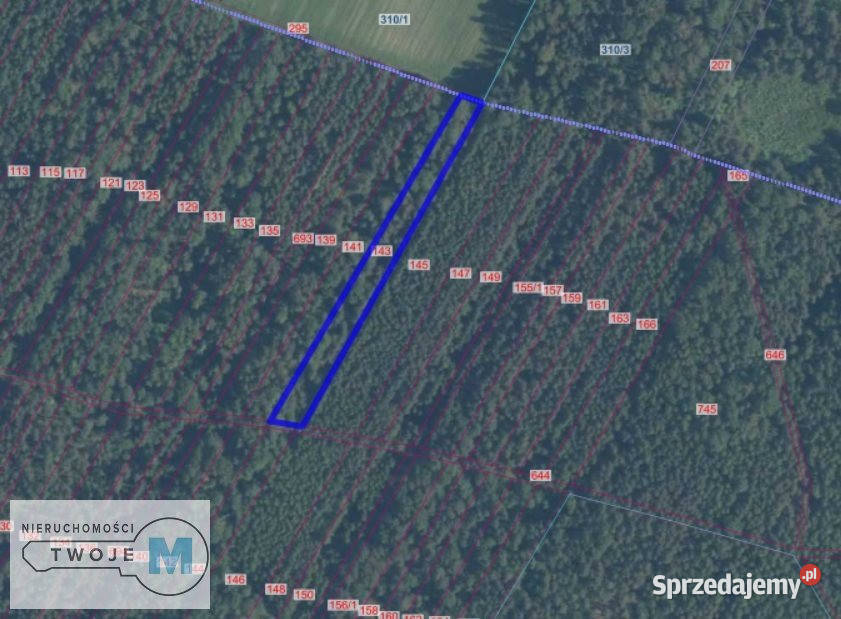 Działka Pierzchnica 7578m