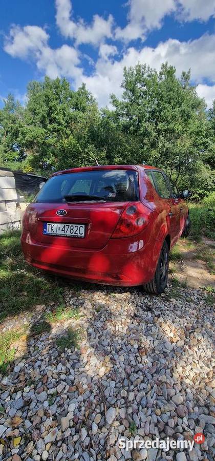 Kia Ceed Samochody osobowe