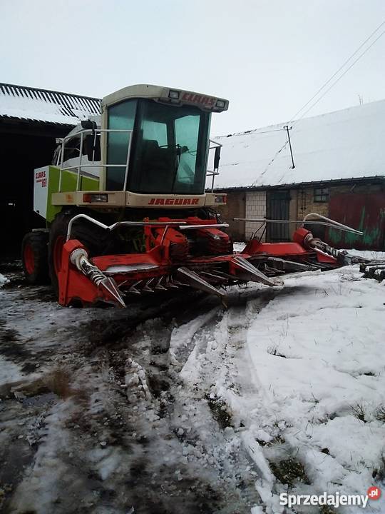 Sieczkarnia do kukurydzy Claas Jaguar 860 kamper Długołęka