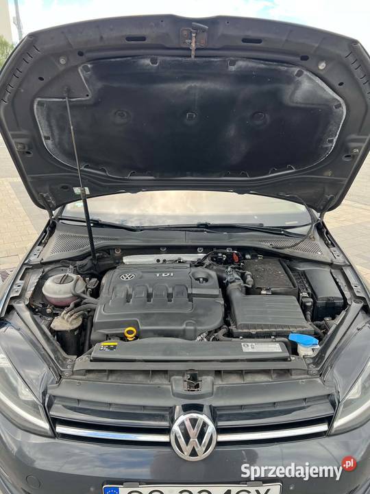 Golf 7 Urano Gray DSG Nowe sprzęgło fajne Gliwice