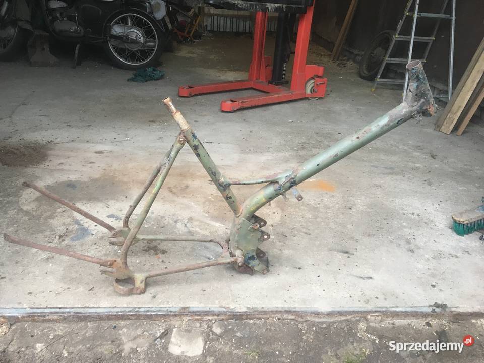 Rama Ryś Żak Komar sztywniak Pozostałe