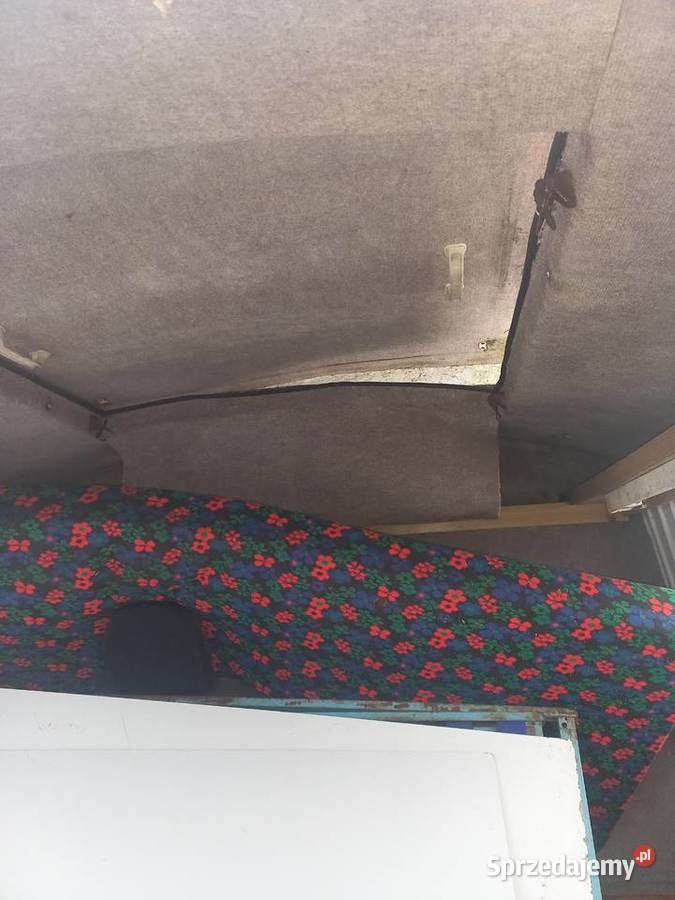 Kamping Niewiadów Krosno Odrzańskie