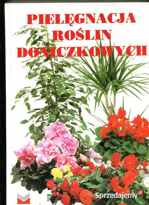 Pielęgnacja roślin doniczkowych Pozostałe Kultura i Rozrywka Szczecin