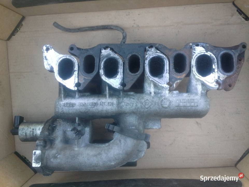NISSAN PRIMERA p12 kolektor komplet 19dci zachodniopomorskie Dębno