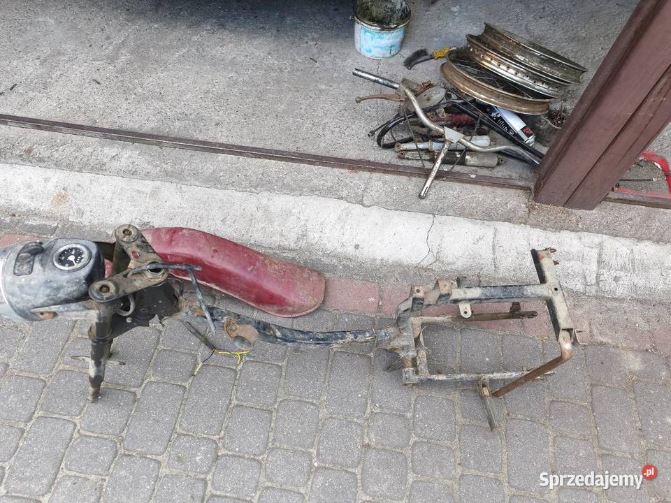 Jawa jawka lubelskie Łęczna