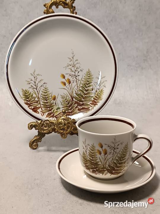WINTERLING Filiżanka Rslau Paproć Bavaria Trio Dobrzany sprzedam