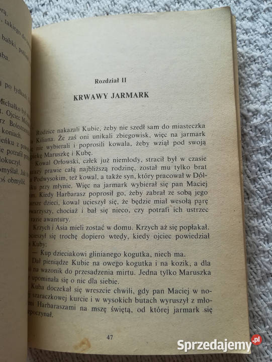 Hetman Kuba Maria Niklewiczowa miękka Białystok