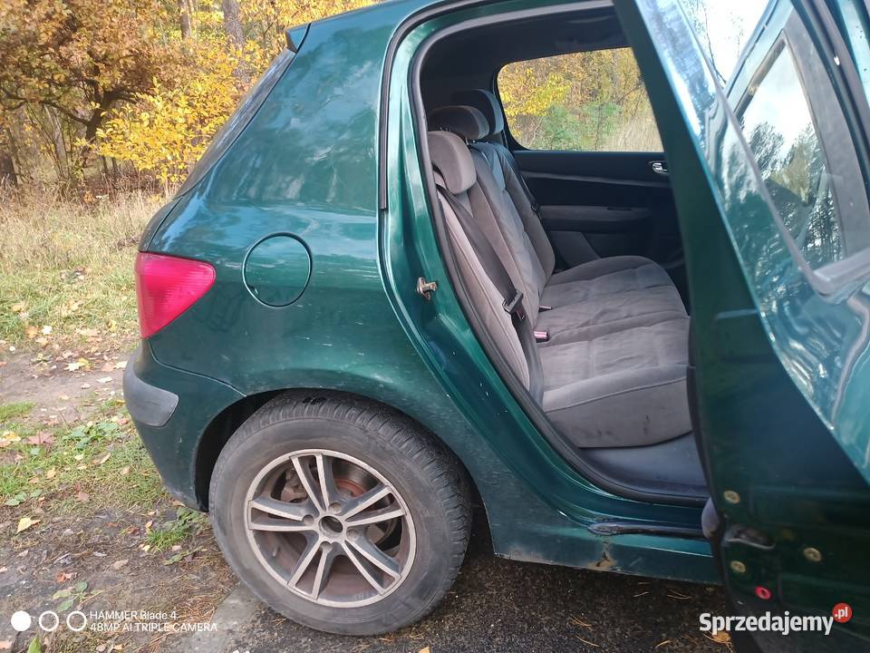 Peugeot 307 Solec Kujawski sprzedam