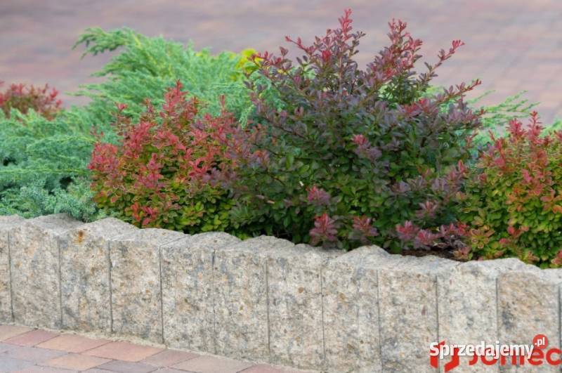 Palisada łupana JONIEC MOGIELICA 10 x 9 x 20 Miechów