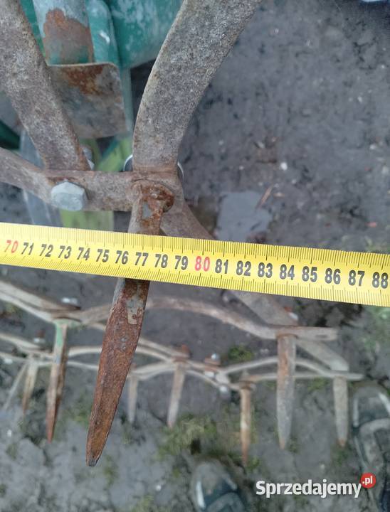 Brony nieuszkodzony Wieszowa