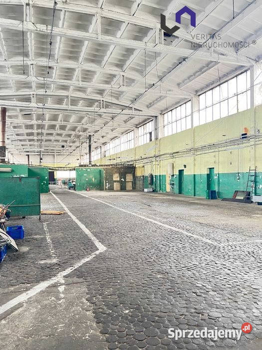wynajmu lokalu Mysłowice 1200m2