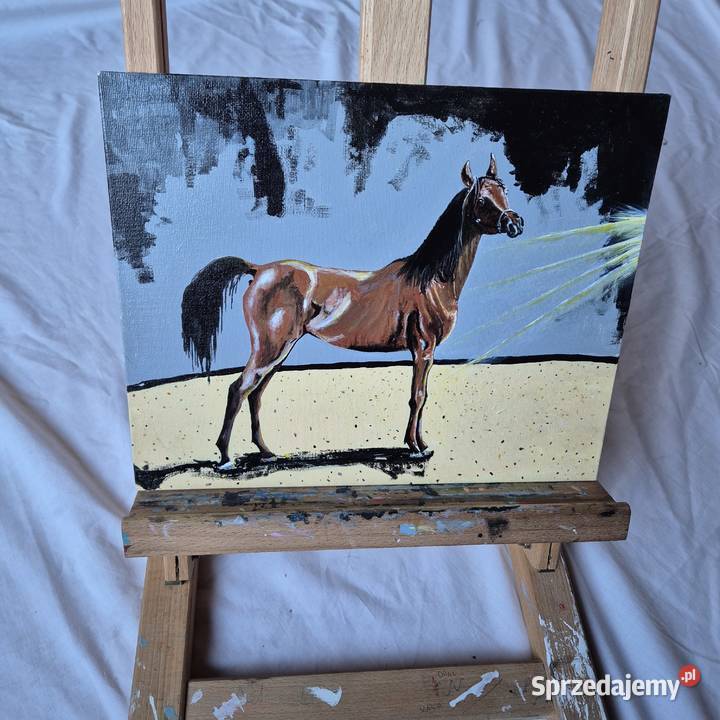 Obraz koń arabski arab stadnina białka Janów Brzesko