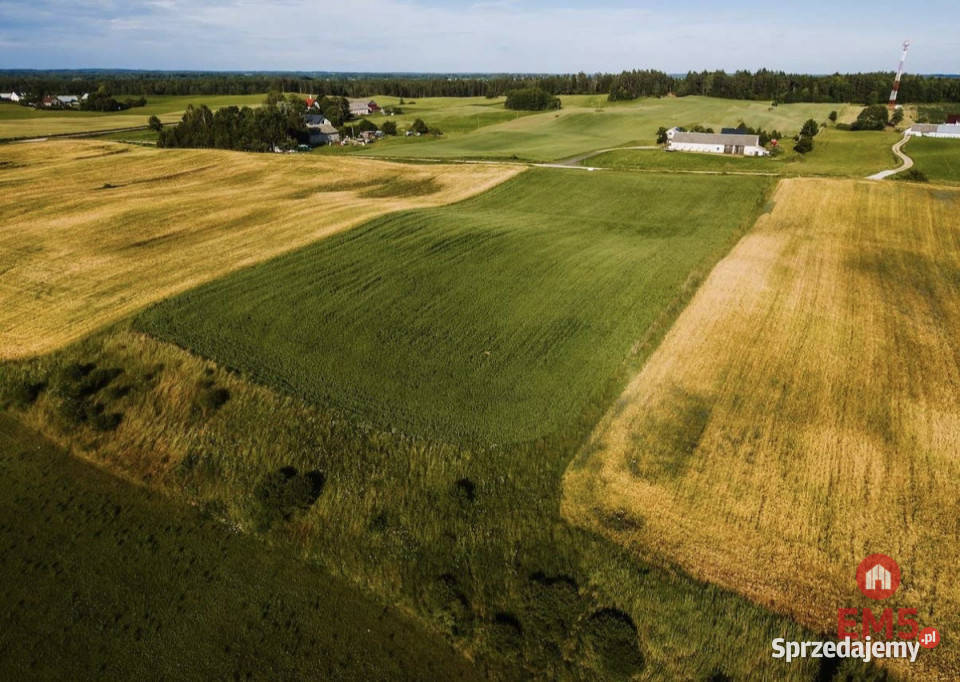 Działka 12000m2 Żegary