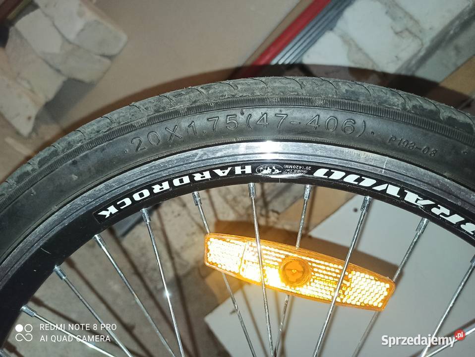 rewer dziewczynki łódzkie