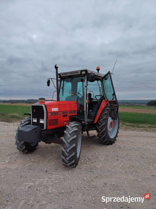 Massey ferguson 3065 świętokrzyskie Bogoria
