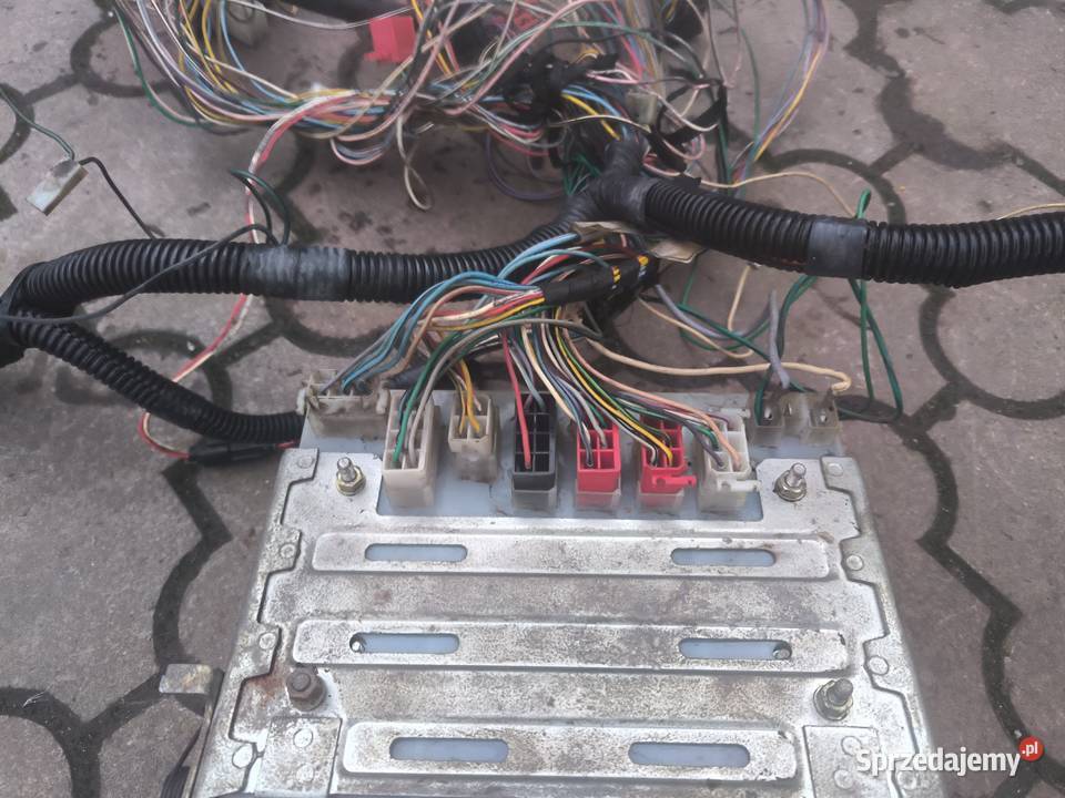 Lublin FS INTRALL Wiązka elektryczna Stalowa Wola