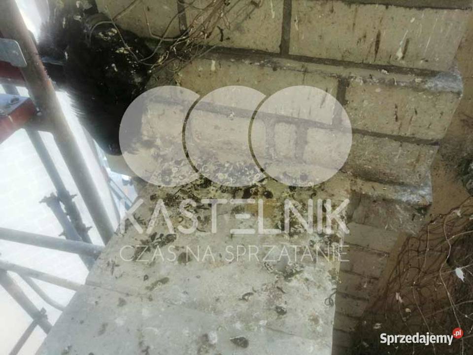 Sprzątanie gołębiach Piekary Śląskie Kastelnik