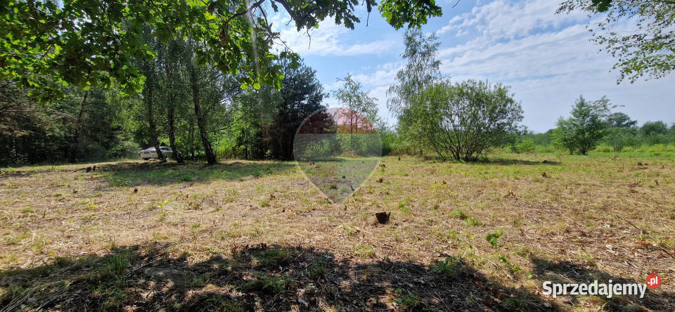 Działka z potencjałem budowlanym 1426 m Bielicha