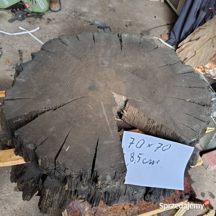 Plaster Czarny Dąb Nowy Tomyśl sprzedam