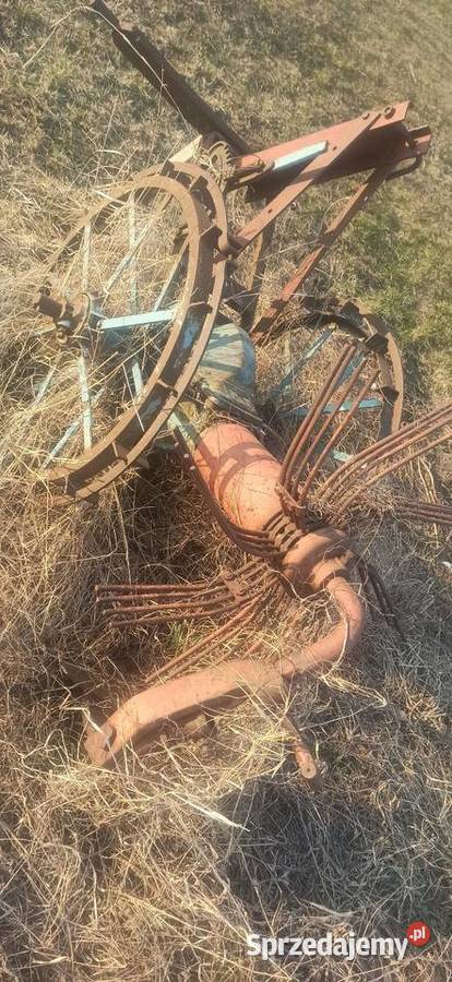 Wykopywaczka do ziemniaków Pozostałe Sępopol sprzedam